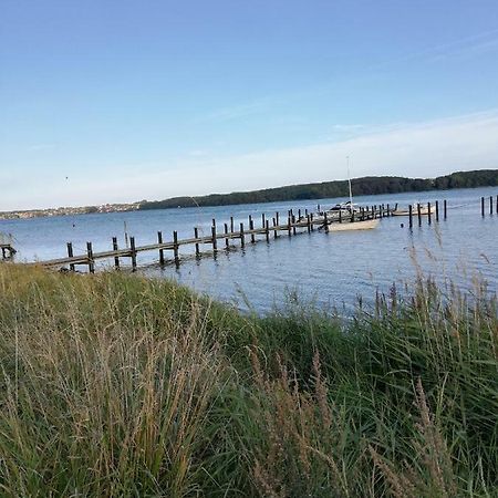 Tankefuld Living'S Horsefarm Διαμέρισμα Svendborg Εξωτερικό φωτογραφία