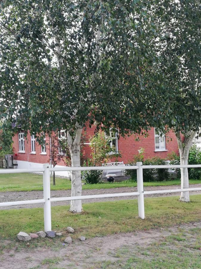 Tankefuld Living'S Horsefarm Διαμέρισμα Svendborg Εξωτερικό φωτογραφία