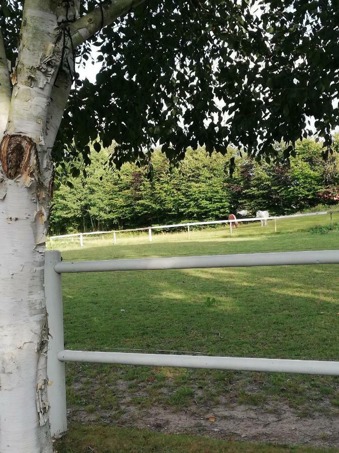 Tankefuld Living'S Horsefarm Διαμέρισμα Svendborg Εξωτερικό φωτογραφία